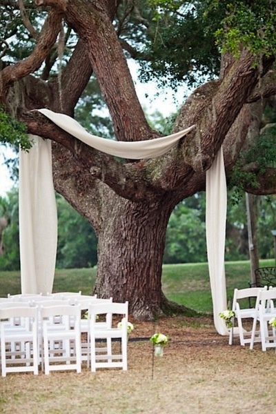 tree wedding
